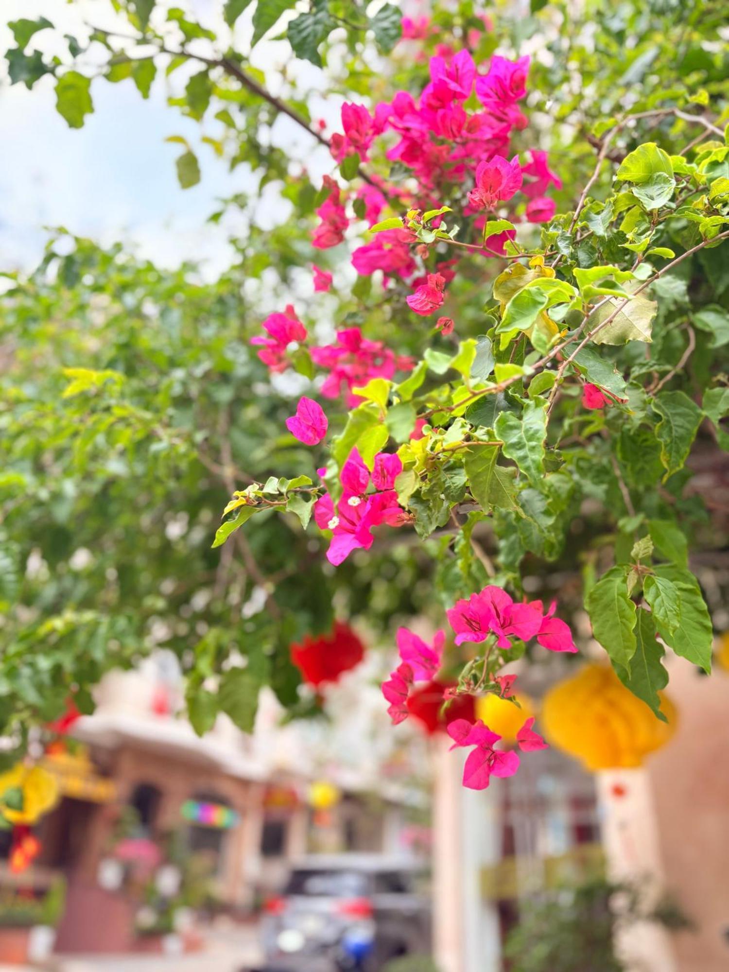 Khach San My Hang ดาลัด ภายนอก รูปภาพ